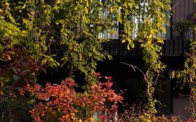 Hotel Indigo Vienna - Naschmarkt, an IHG Hotel